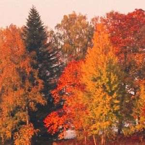 Meet your Posher, Mimi